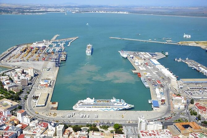 Private Day Trip From Cadiz Port to Seville (Tickets and Transport Included) - Overview of the Private Day Trip