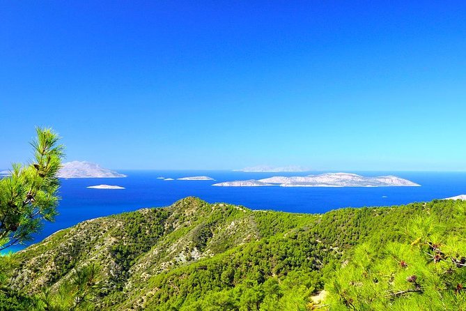 Private Day Trip From Rhodes to Alimia Island - Itinerary and Activities