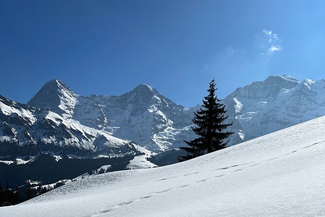 Private Day Trip in the Heart of the ALPS - Jungfrau Region - Best Time to Visit Jungfrau Region