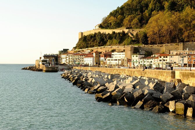 Private Direct Transfer From Bordeaux to Donostia San Sebastian - Overview and Inclusions