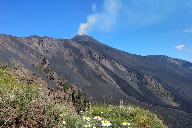 Private Etna Tour in 4WD With Guide and Wine Tasting Included - Tour Highlights