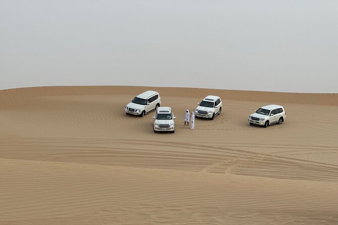 Private Evening Safari Abu Dhabi With BBQ Dinner & Live Shows - Overview of Private Evening Safari