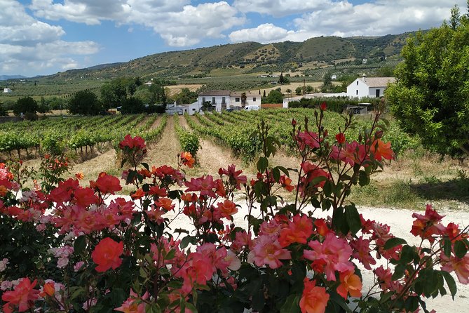 Private Excursion to Ronda From Costa Del Sol 7 Hours - Customer Support