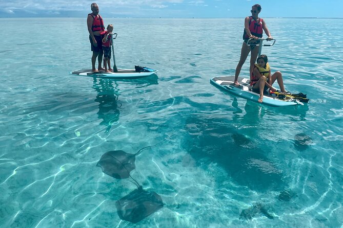 Private Excursion With Bike Paddle in Moorea and Snorkeling - Additional Information and Tour Details