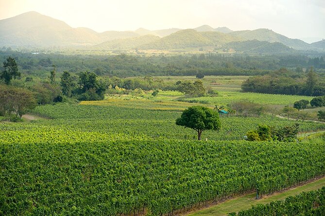 Private Experience of Wine Tasting Hua Hin in Monsoon Valley - Overview and Pricing