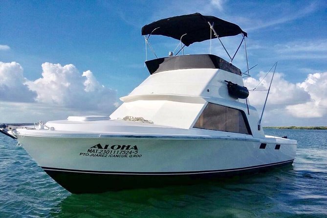 Private Fishing Charter Bertram 31ft 6 Pax Max if You Dont Fish You Dont Pay - Charter Details and Pricing
