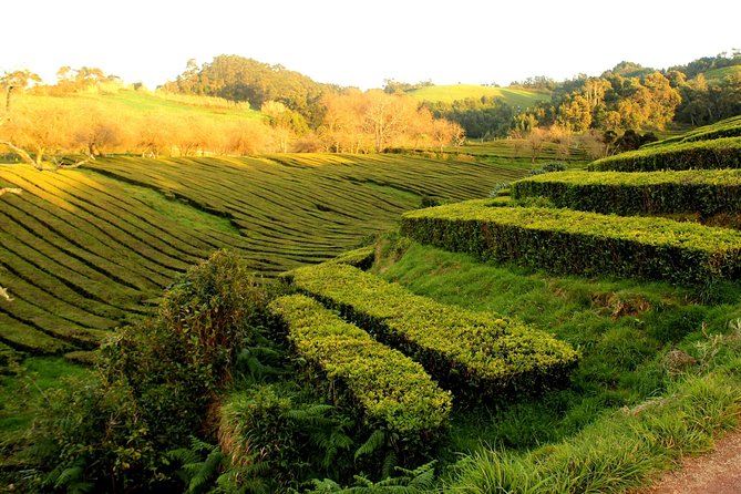 Private Full-Day 4x4 Tour to Furnas Volcano - Tour Highlights
