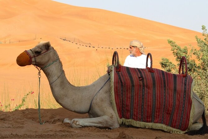 Private Full Day Guided West of Qatar Tour and Desert Safari - Overview of the West of Qatar Tour
