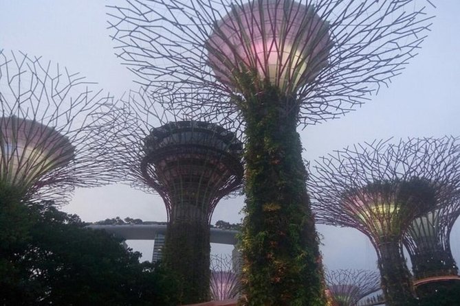 Private Full Day Singapore Highlights From Cruise Ship - Top Attractions in Singapore