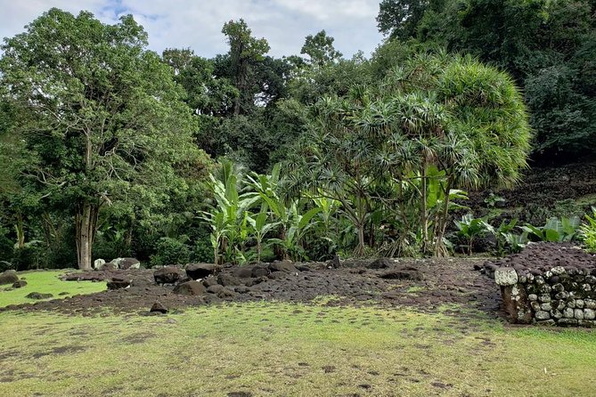 Private Full Day Tour Around Tahiti: the Islands Nature Wonders - Tour Overview and Itinerary