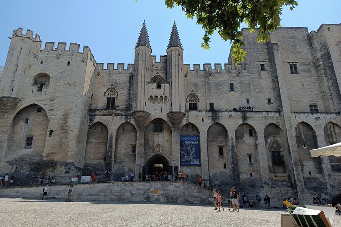 Private Full Day Tour Avignon & Wine Tasting Chateauneuf Du Pape - Inclusions