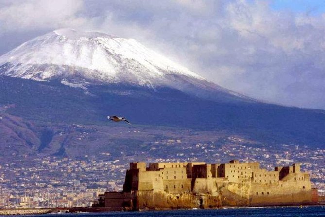 Private Full-Day Tour to Pompeii and Mt. Vesuvius With Winery Visit - Pricing and Booking Information