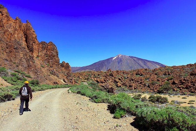 Private Full Day Tour to the Top of the Teide: Go Hiking and Return in Cable Car - Tour Overview and Inclusions