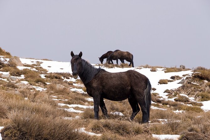Private Granada Tour in Sierra Nevada's Summits - Tour Highlights