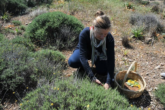 Private Greek Cooking Class and Foraging Experience in Syros - Meeting Point and Pickup Details