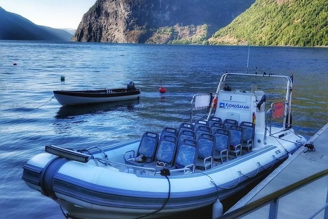 Private Guided Day Tour to Flåm - Incl RIB Sognefjord Safari and Flåm Railway - RIB Motorized Boat Tour