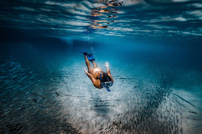Private Guided Snorkeling in Cabo San Lucas - Benefits of Private Guided Snorkeling Tours