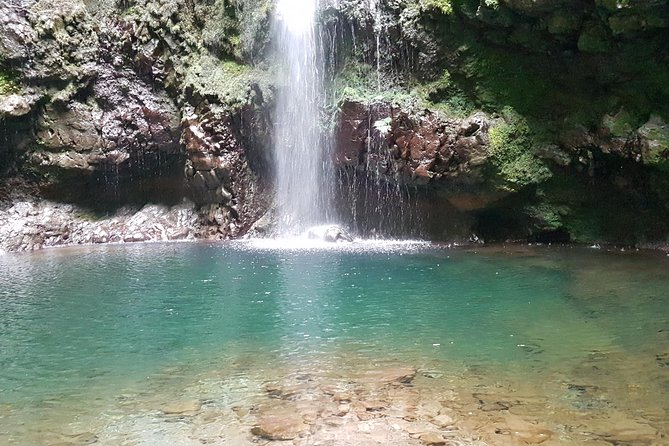 Private Guided Walk Levada Caldeirao Verde - What To Expect