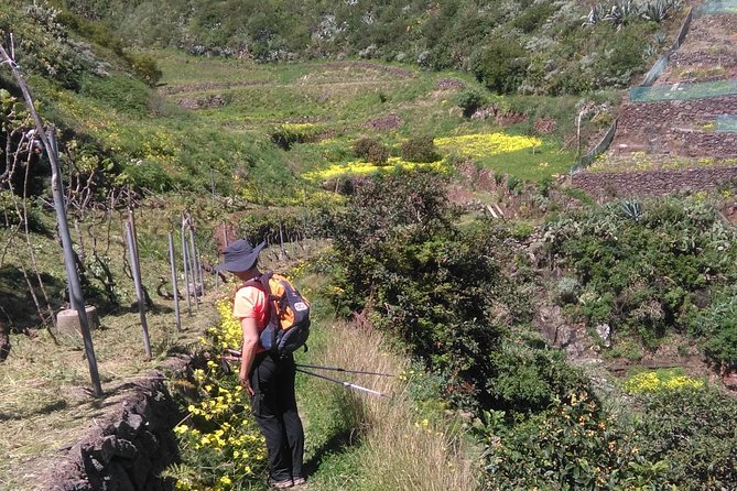 Private Half-Day Anaga Trekking Excursion  - Tenerife - Important Information