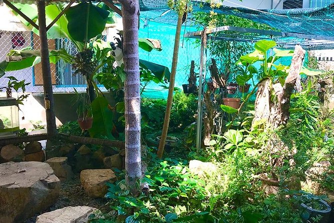 Private Half-Day Cooking Class in Nha Trang With Pick up - What to Expect in the Cooking Class