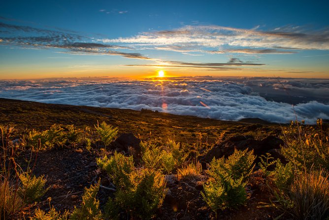 Private Half-Day Haleakalā Hike in Kahului  - Maui - Overview and Experience