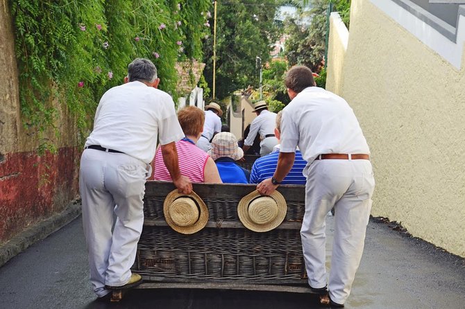 Private Half Day Madeira Tour (8 Seat Mercedes Vito) - Pricing and Guarantee