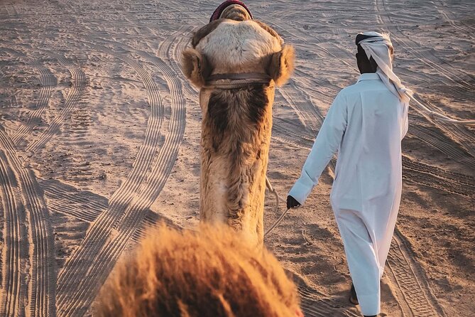 Private Half Day Safari With Quad Bike Atv/Camel Ride/Sandboard - Overview of the Private Half Day Safari