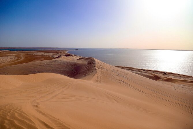 Private Half-Day Tour From Doha to the Desert With Camel Ride - Cancellation Policy
