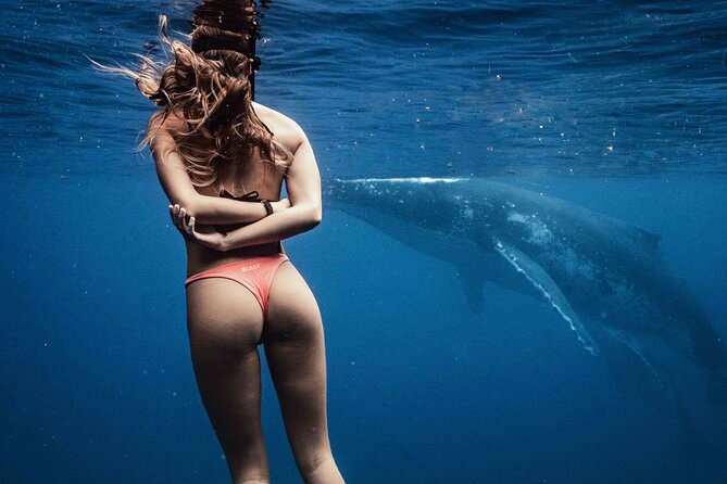 Private Half Day Whale Watching Tour - Tour Details