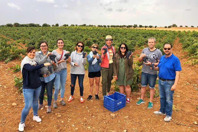 Private Half-Day Wine Tour Near Madrid - Rated Unique and Personalized - Cancellation Policy