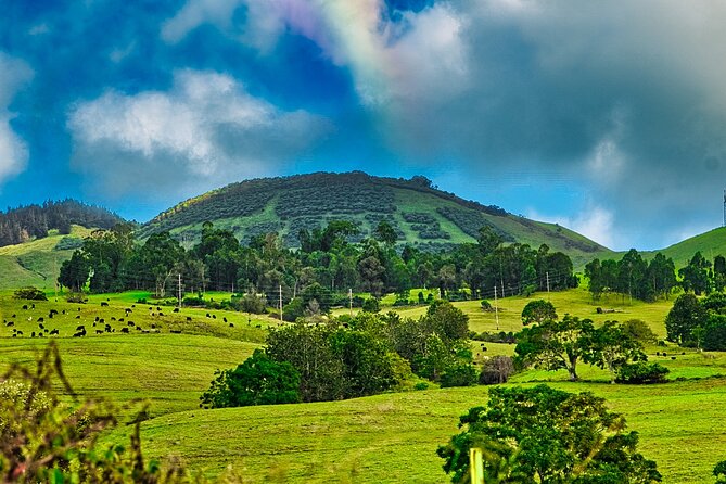 Private Halfway to Hana Tour - Tour Details and Itinerary