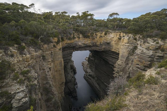Private Hobart Discover South East Food and Scenic Tour - Meeting and Pickup Information