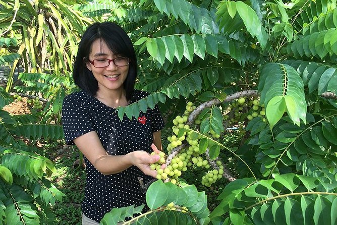 Private Home Cooking Lesson in Hosts Garden Outside Bangkok - Overview and Experience Details