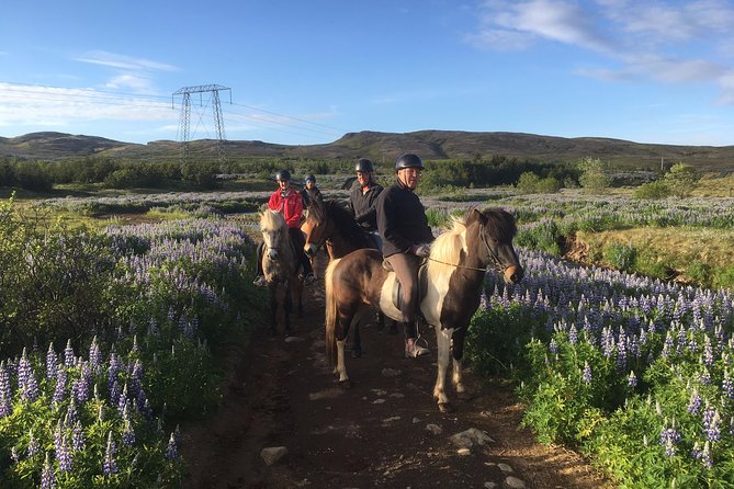 Private Horse Riding Tour of Lake Hafravatn From Reykjavik - Tour Overview