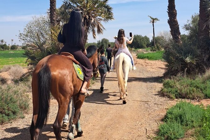 Private Horseback Ride in the Palmeraie of Marrakech - Visual Content