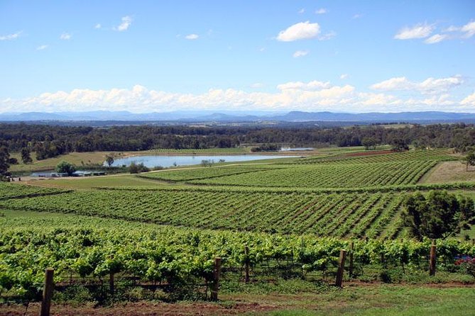 Private Hunter Valley Wine-Tasting Day Tour From Sydney - Overview of the Tour