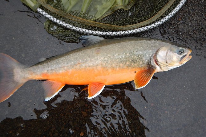 Private Lake and River Fishing Tour From Reykjavik - Pickup and Transportation
