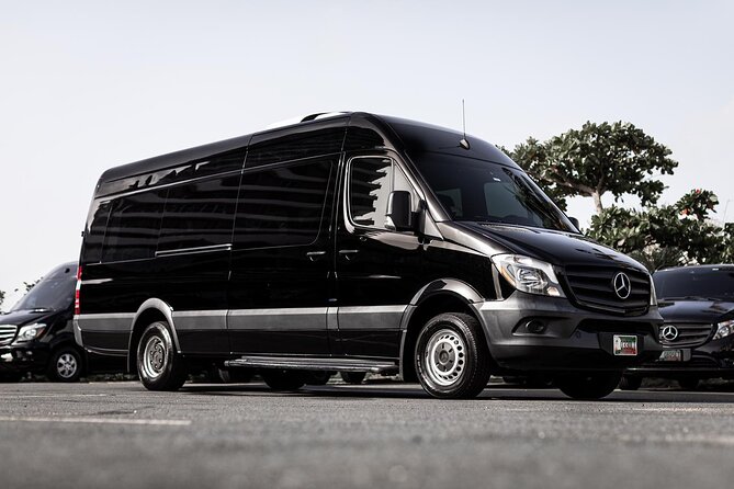 Private Large-Group Transfer From San Juan Airport or Port - Transfer Details