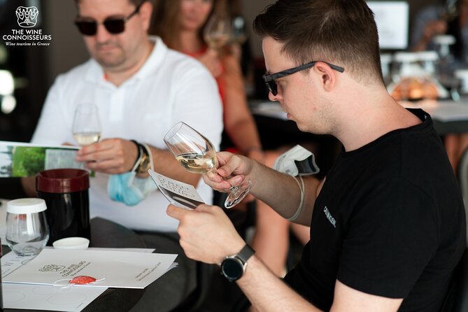 Private Luxury Wine Tour in Ancient Nemea and Vineyards. - Nemea: Greeces Renowned Wine Country