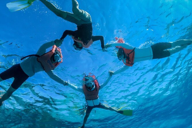 Private Mask and Snorkel Fins Tour - Tour Inclusions