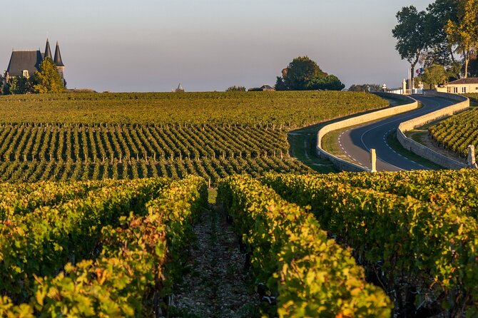 Private Médoc Region Wine Tour Experience From Bordeaux - Booking and Availability