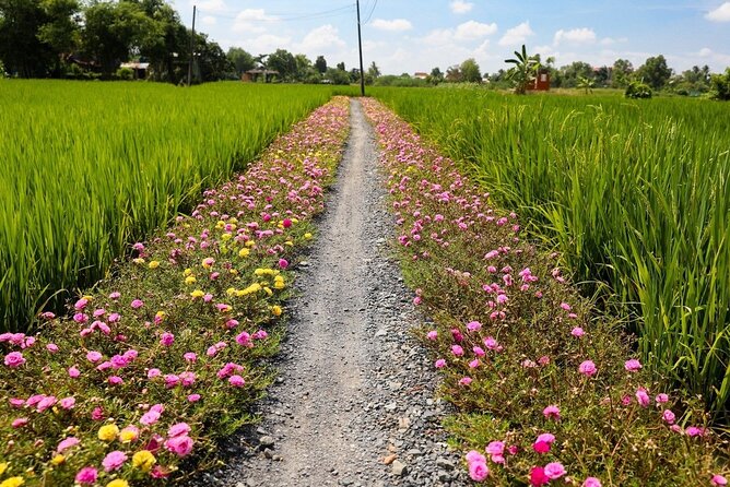 PRIVATE MEKONG Shore Excursions From Cruise Port - Overview and Itinerary