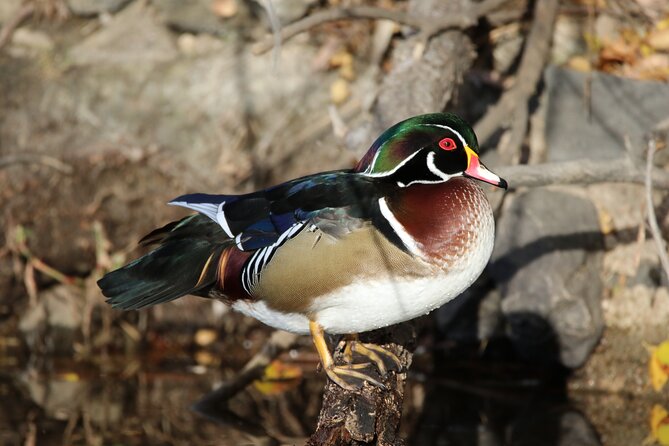 Private Nature Tour for Couples - Tour Confirmation and Accessibility