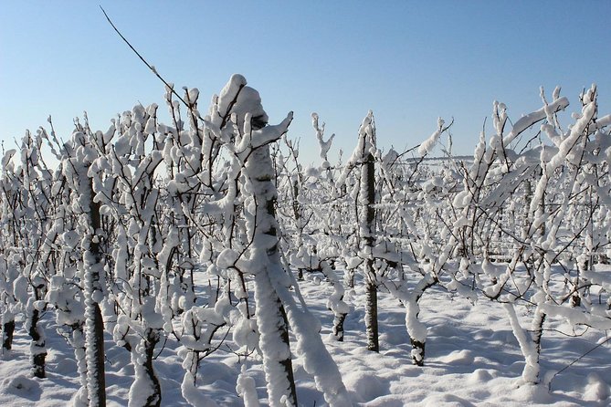 Private Niagara Ice Wine Tour - Pickup Details and Policies