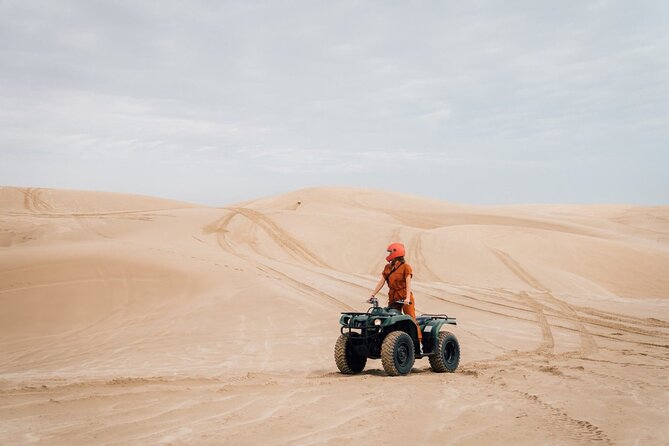 Private Night Desert Safari With Sand Board and Camel Ride - Traveler Experience