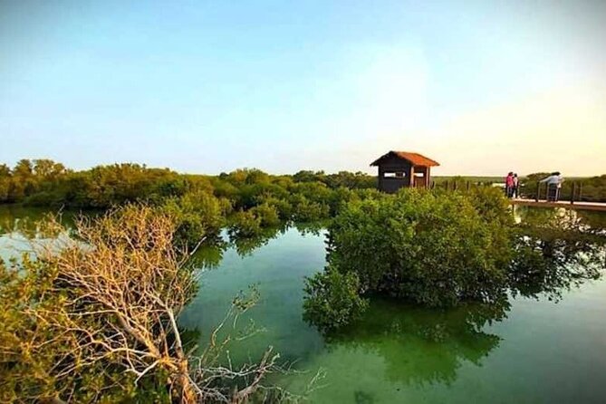 Private North of Qatar Tour - Exploring the Coastal Gems