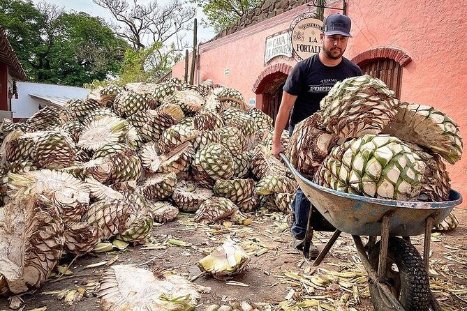 Private One Day Adventure Tour in Tequila and La Fortaleza Distillery - Tequila and La Fortaleza Distillery: A One Day Adventure