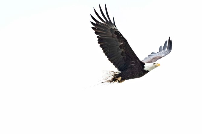 Private Photography Tour Haines Departure - Included Tour Amenities