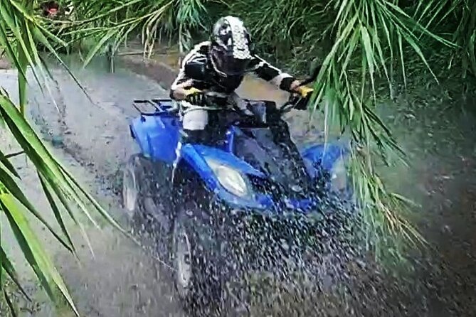 Private Quad / ATV Tour of 1 Hour Through the Jungle of Altea - Tour Details