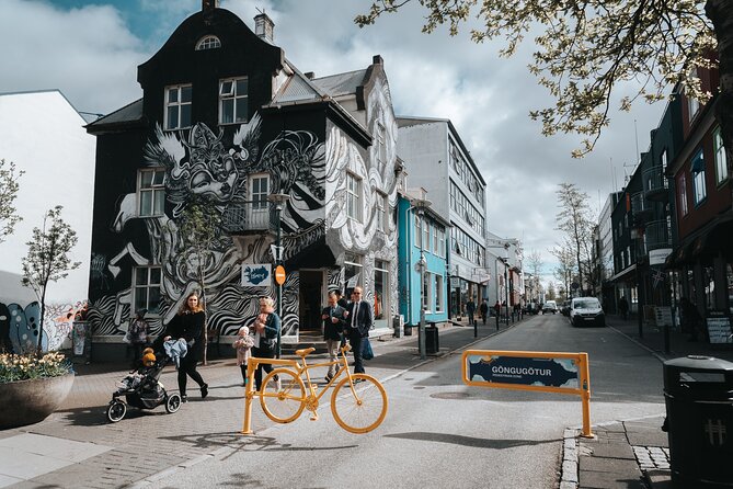 Private Reykjavik Street Art Walking Tour - The Instagram Tour - Tour Overview